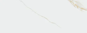 AUREUS 35X90