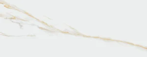 AUREUS 35X90