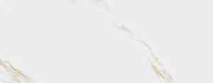 AUREUS 35X90