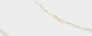 AUREUS 35X90