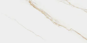 AUREUS 60X120