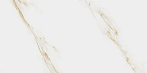 AUREUS 60X120