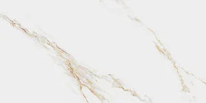 AUREUS 60X120
