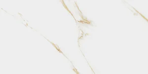 AUREUS 60X120