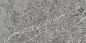 CAPRICE GREY 60X120