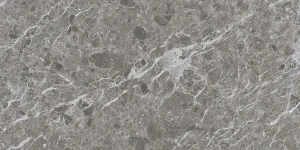 CAPRICE GREY 60X120