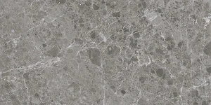 CAPRICE GREY 60X120