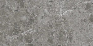 CAPRICE GREY 60X120