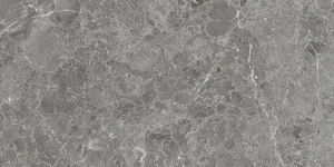 CAPRICE GREY 60X120