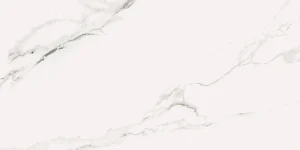 DENARIUS 60X120