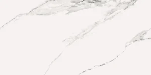 DENARIUS 60X120