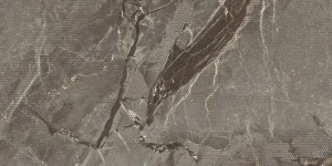 DUSK TAUPE-D 60X120