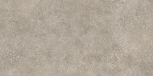 PLAZA TAUPE – ADL 60X120
