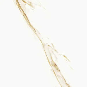 AUREUS 60X60