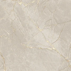 DUSK BONE 60X60