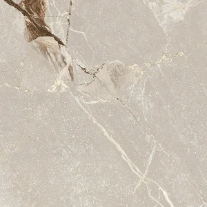 DUSK BONE 60X60