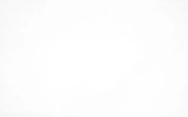 MALLORCA BLANCO 35X90