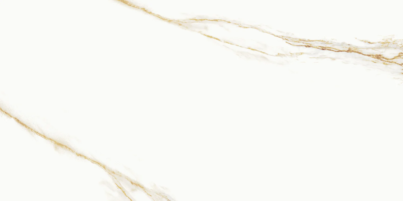 AUREUS 60X120