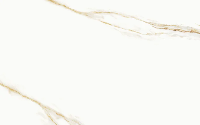 AUREUS 60X120