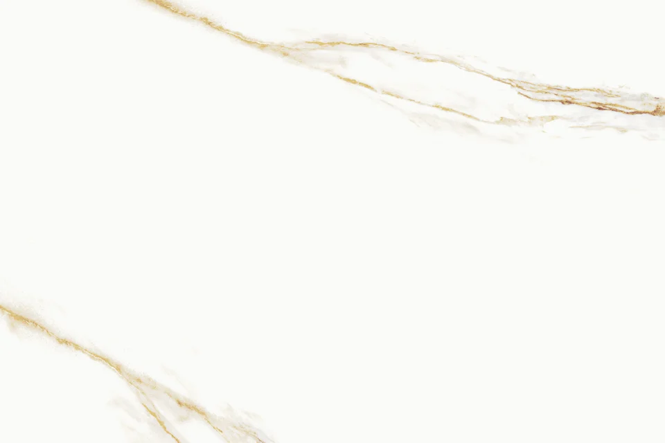 AUREUS 60X120