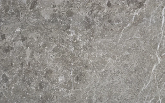 CAPRICE GREY 60X120