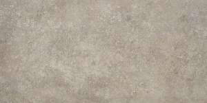 PLAZA TAUPE 60X120