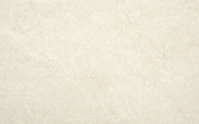 DAIMA BONE 60X120