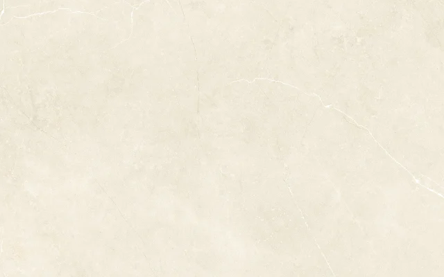DAIMA BONE 60X60
