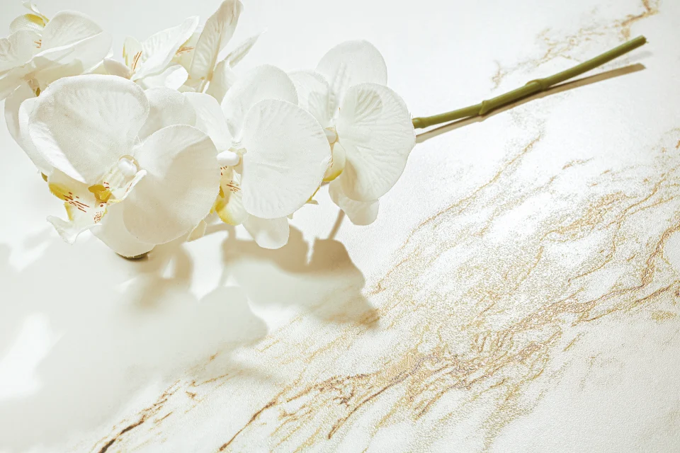 DETALLE_AUREUS 60X120